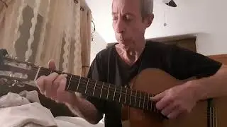 פרי גנך - גיטרה