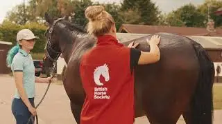 We are British Horse Society.