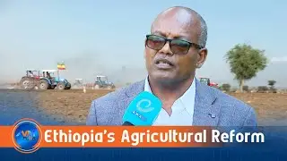 Ethiopia&rsquo;s Agricultural Reforms Attract Global Partners as Food Sovereignty Gains Momentum