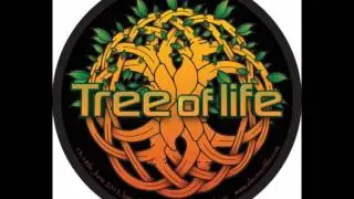 Plasmotek Live set @ Tree of Life festival 2015 [Psychedelic Trance]