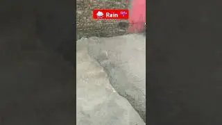 Heavy Rain ||#rain #heavyrain #shorts #rainshortsvideo