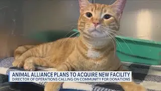Local animal rescue seeks $35K to expand, help more pets in need