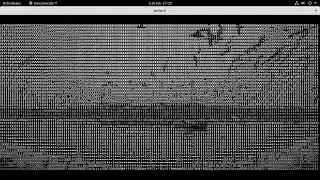 Efecto ASCII  | Con mplayer