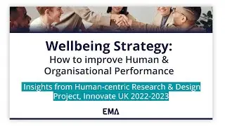 Wellbeing Strategy: How to improve Human and Organisational Performance