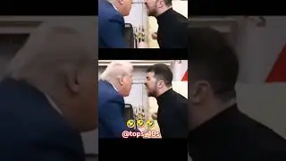 Trump vs zelensky fight in the white house. most funny AI. #trump #zelensky  #funny #ai #lol #fight