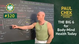 The Big 6 For Body-Mind Health Today | Paul Chek