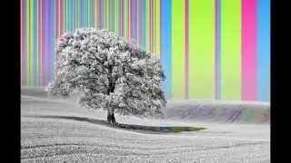 Gyves - Misery plains