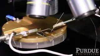 Electronic Sensor for Bacteria Detection