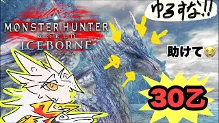 【ドラゴンv】30乙ハンターによるイヴェルカーナ再々々リベンジ編 【MHWI】Help！😭