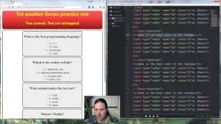 How to program HTML Web Forms Radio buttons with Javascript and CSS