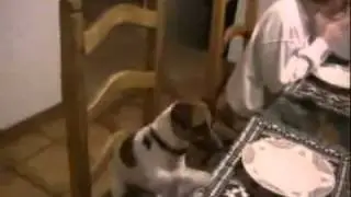 Vamos rezar