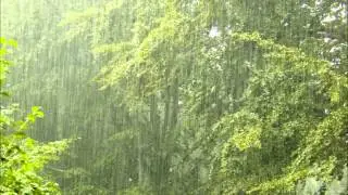 Samsung D900i Sonic Wellness (Rain)