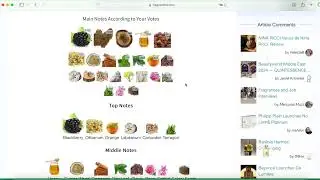 How to intepret the main accords on Fragrantica - Episode 244