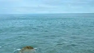 Не виноватая я. Это Абхазия так действует.