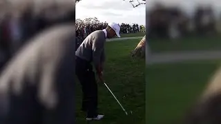 Tiger&rsquo;s best shots at Torrey 🔥