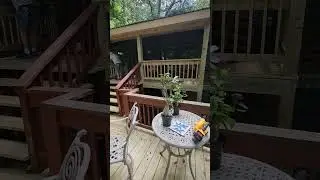 418 Misty Hollow Road, Ellijay, Ga. 30536(2)