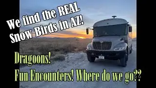 Real Snow Birds in AZ! Willcox! Dragoons!  Skoolie, Bus Conversion Travel