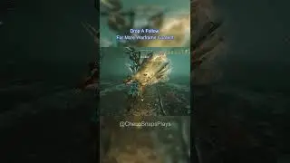 I Glitched At The Elite Temporal Archimedea Boss