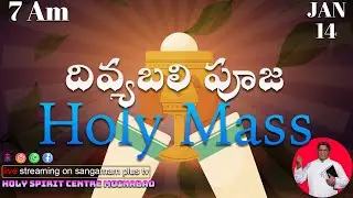 Wednesday of week 1 in Ordinary Time | Holy Mass | Rev Fr Paulraj SHS | 14th Jan 2025 | 7am