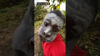 मऊसा 😂😂 | #Mausa #comedy #video  #trending #youtubeshorts #youtube #bhojpuri