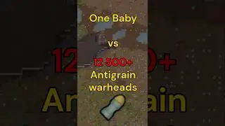 1 Baby vs 12 500+ ANTIGRAIN WARHEADS....