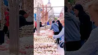 Garlic festival | La feria de los ajos | #shorts #garlic #shortvideo #ajos
