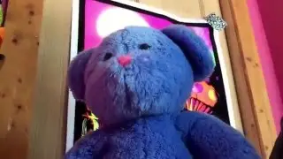 HUGE STUFFED ANIMAL COLLECTION