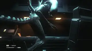 First encounter with the Xenomorph