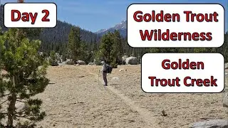 Big Whitney Meadow Southbound Along Golden Trout Creek - 2025 Day 2