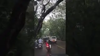Aarey road - Rainy day 7.6.25
