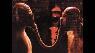 Homo Iratus - Absence of Progress
