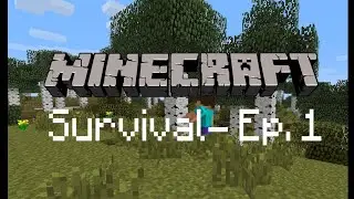 Minecraft Survival Part -1 | E P L gaming