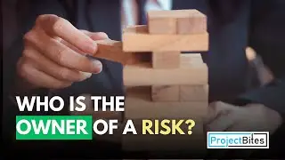 Who is the owner of a Risk?