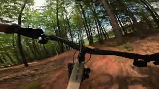 Beerfelden Bikepark 2024 | Gravity Line | Black Viktor & Wall | Tobias Heuschkel