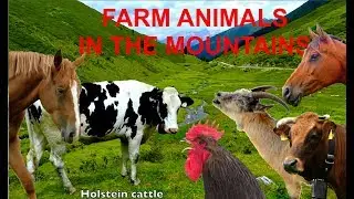 FOR KIDS: farm animals in the mountains with natural sounds - NO MUSIC! video for children