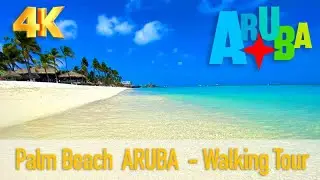 Unlocking the Beauty of Palm Beach, The Most Beautiful of Aruba 🌴🏖️