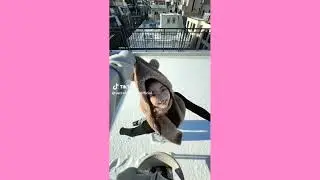 TikTok mashup December 2025