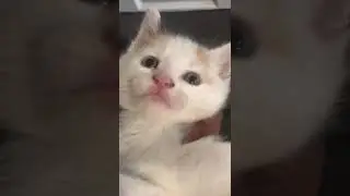 Omg kali please
