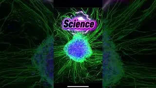 Welcome to Science and the People!! #joy #science #reels