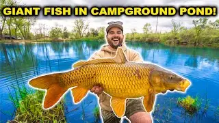Catching GIANT FISH in the CAMPGROUND Pond!!! ($9 Walmart Rod Challenge)
