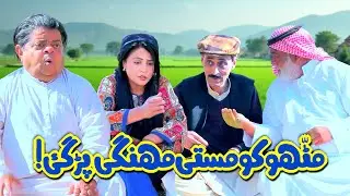 Dubai walay sheikh te Mithu ne rollay! Mithu Nalaiq 1/5 - Shahzada Ghaffar - Pothwari Drama