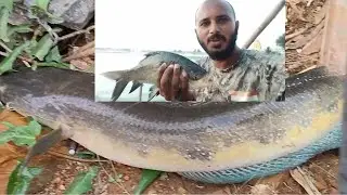 multi fish species fishing #youtubevideo #viral #youtubevideo