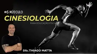 Aula 6 - Músculo Esquelético: como a contração gera movimento? | Cinesiologia aplicada