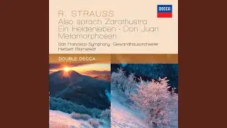 R. Strauss: Ein Heldenleben, Op. 40, TrV 190: Der Held