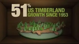 Think Wood - A Renewable and Green Building Choice