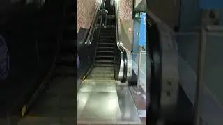 #delhi #life #travelreel #reelfeelit #reels #viral #viralvideo #trending #delhistreetfood #funny #dj
