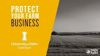 Protect Your Farm Business: Crop Share and Cash Rents