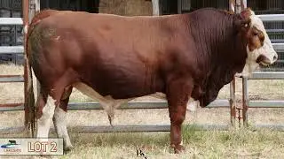 LOT 2