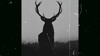 Hard Rap Dark Freestyle Boom bap Type Beat 