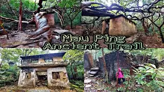 Mau Ping Ancient Trail || Great Twine of Mau Ping #exploremore #ancient #nature #maupingancienttrail